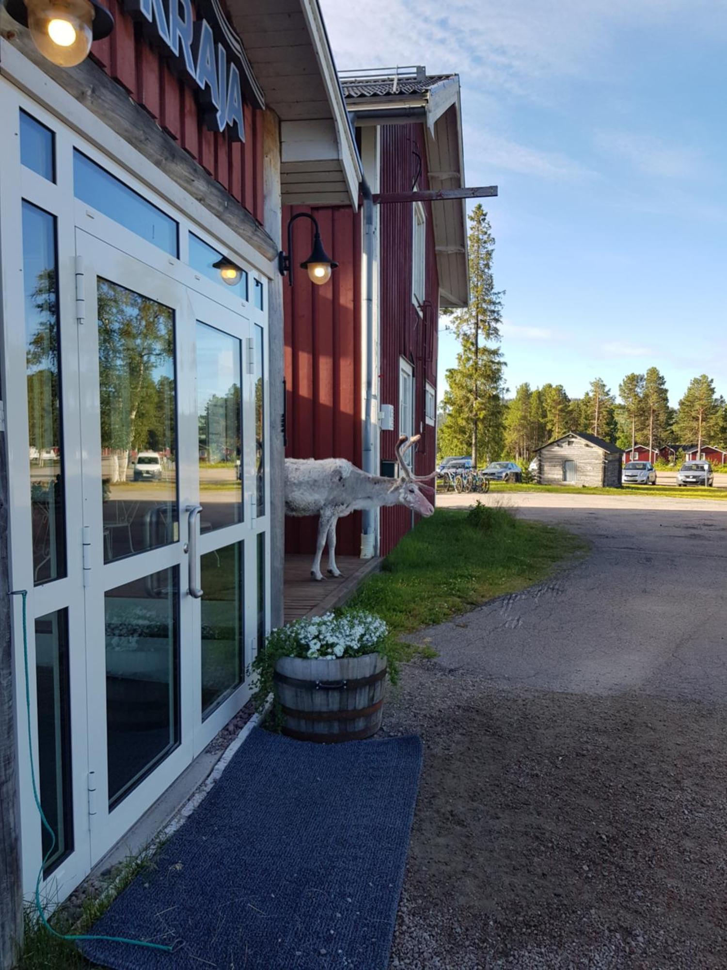 Kraja Hotel Arjeplog Exterior photo