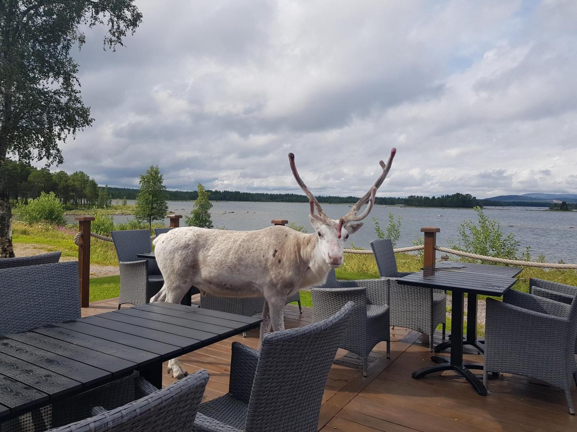 Kraja Hotel Arjeplog Exterior photo