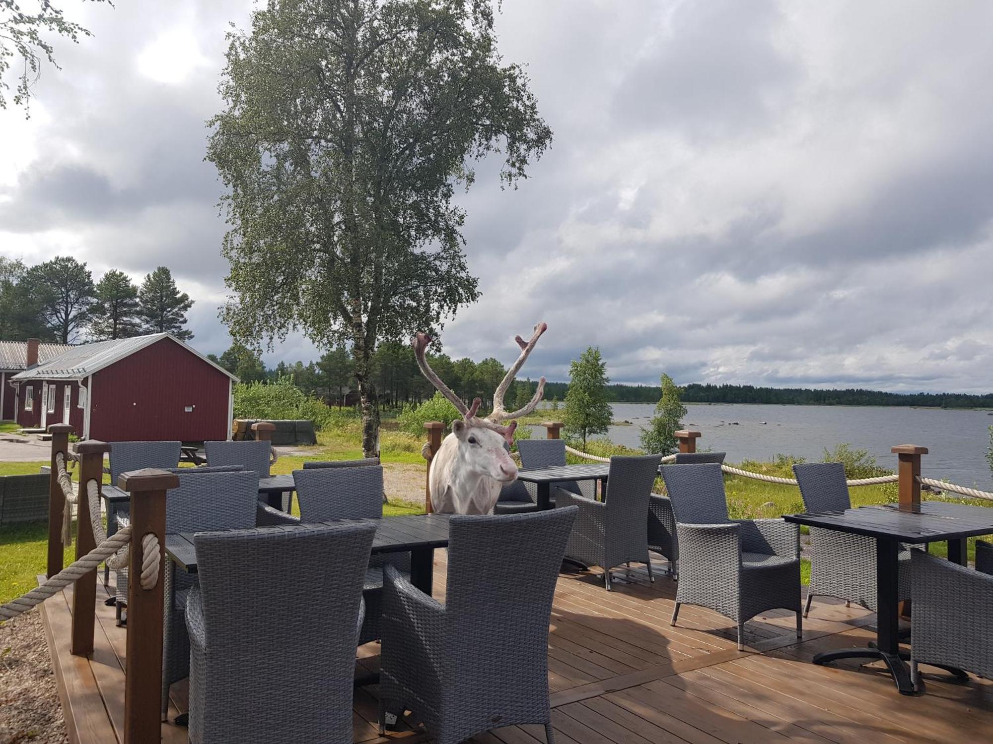 Kraja Hotel Arjeplog Exterior photo